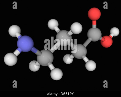 Acido gamma-amminobutirrico GABA molecola Foto Stock