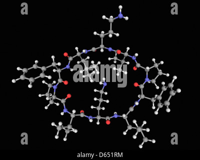 La gramicidina S molecola di farmaco Foto Stock