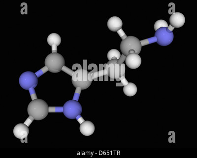 Molecola di istamina Foto Stock