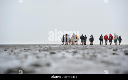 La gente a piedi attraverso le velme del mare di Wadden tra Nessmersiel e l isola di Baltrum durante il forte vento e pioggia sulla costa del Mare del Nord vicino Baltrum, Germania, 09 giugno 2012. Meteorologi predire cambiamenti di tempo per i prossimi giorni. Foto: JULIAN STRATENSCHULTE Foto Stock