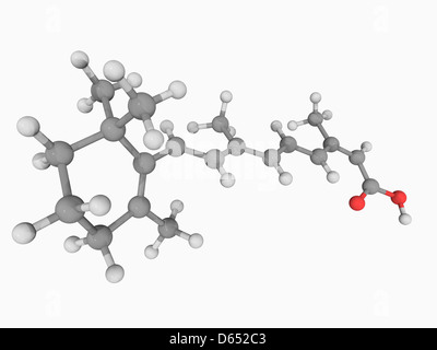 Isotretinoin molecola di farmaco Foto Stock