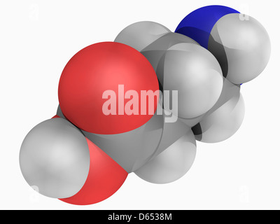 Acido gamma-amminobutirrico GABA molecola Foto Stock