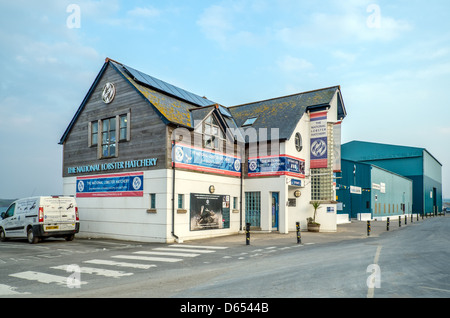 National Lobster Hatchery, Padstow, Cornwall Foto Stock