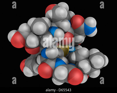 Alpha-Amanitin molecola di tossina Foto Stock