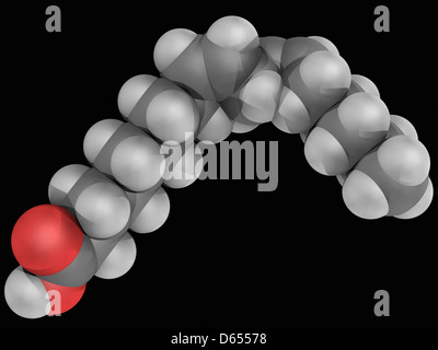 Acido linoleico molecola Foto Stock