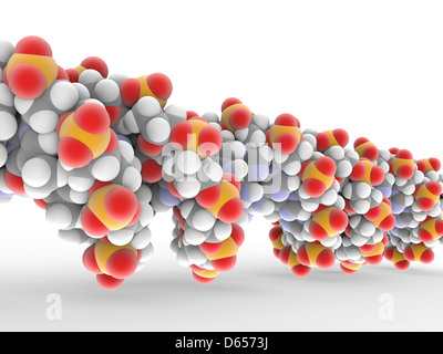 Molecola del DNA Foto Stock