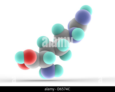 Molecola di arginina Foto Stock