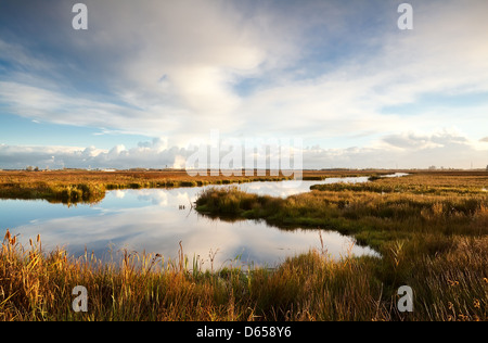 Lago selvaggio di prima mattina Foto Stock