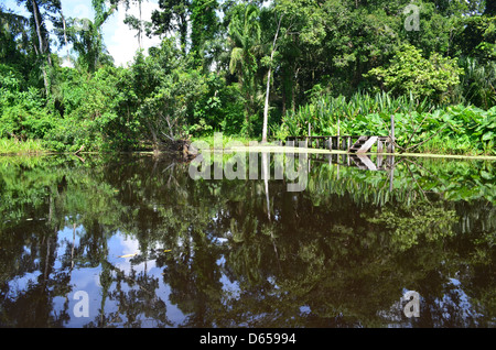 Riflessioni su un lago nel Tambopata National Reserve, Amazzonia, Perù Foto Stock