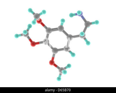 Mescaline molecola di farmaco Foto Stock
