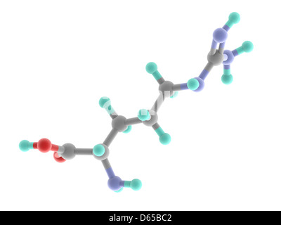 Molecola di arginina Foto Stock