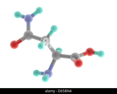 Molecola di asparagina Foto Stock