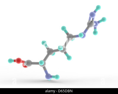 Molecola di arginina Foto Stock