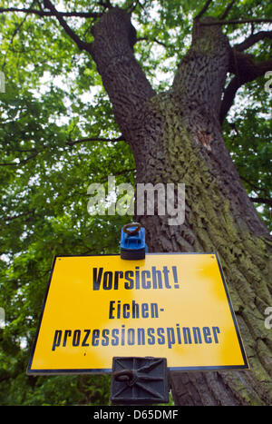 Un segno avverte contro Oak Processionary bruchi in Kreutz lordo, Germania, 15 giugno 2012. I bruchi rappresentano un pericolo per la salute a causa della loro velenosi peli che possono causare irritazione della pelle. Foto: Patrick Pleul Foto Stock