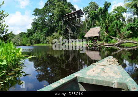 Riflessioni su un lago nel Tambopata National Reserve, Amazzonia, Perù Foto Stock