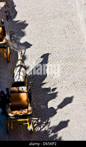Cavallo e Carrozza e ombre di Siviglia Andalusia Andalusia Spagna Europa Foto Stock