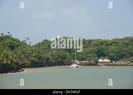 Territorio Francese d'oltremare, Guiana francese, salvezza isole. Panoramica di Ile Royale home al famigerato colonia penale. Foto Stock