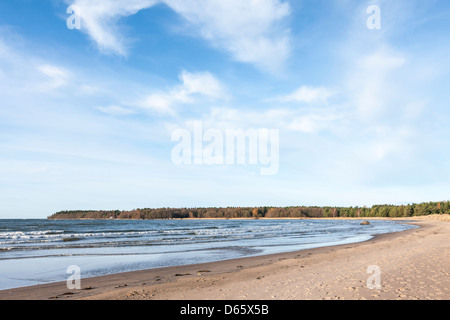 Un freddo e ventoso pomeriggio alla spiaggia di Yyteri in Pori, Finlandia. I sei chilometri di spiaggia sabbiosa lunga è famosa per le sue dune. Foto Stock