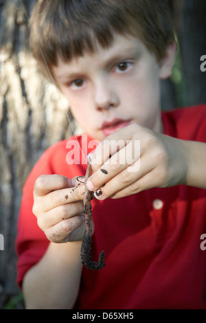 8 anno vecchio ragazzo worm di aggancio Foto Stock