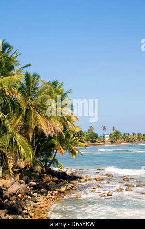 Paesaggio seascape palm alberi di noce di cocco sul Mare dei Caraibi punto contenuto Big Corn Island Nicaragua america centrale Foto Stock