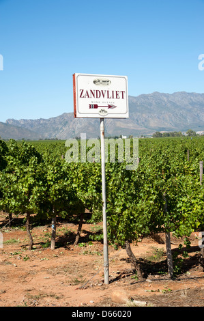 Zandliet tenuta vinicola vigne Robertson western cape Sud Africa Africa Australe Industria enologica Foto Stock