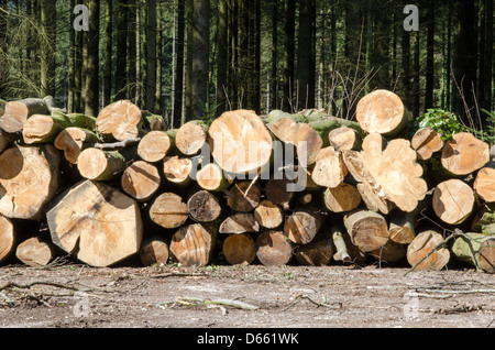 Registri sovrapposti in silvicoltura deposito di legname Foto Stock