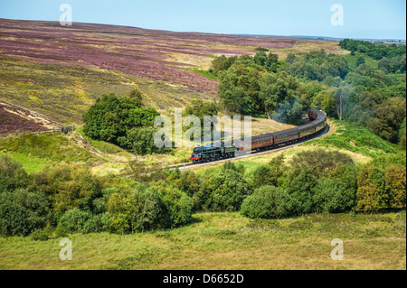 Vintage treno a vapore nel North York Moors National Park in estate con heather in Bloom, Yorkshire, Regno Unito. Foto Stock