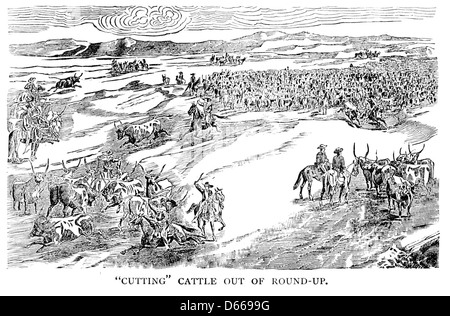 Un'illustrazione del 1886 che raffigura un cowboy del Texas che lavora a cavallo, in particolare tagliando il bestiame da un arrotondamento. Questa immagine riflette la vita dei cowboy nell'Occidente americano durante la fine del XIX secolo. Foto Stock
