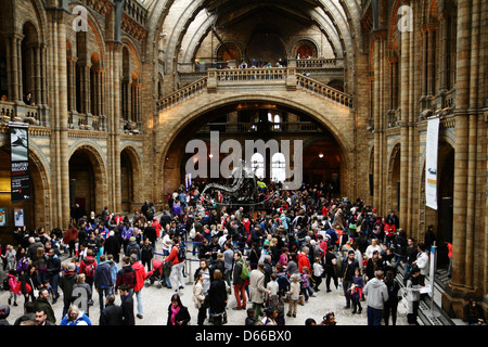 I visitatori si affollano nella sala centrale del Museo di Storia Naturale di Londra, Regno Unito. Foto Stock