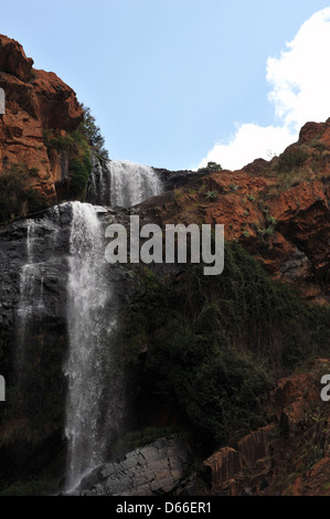 Un alto Walter cascata trovata all'interno di Walter Sisulu Giardini Botanici di Johannesburg. Foto Stock