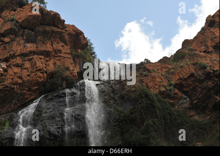 Un alto Walter cascata trovata all'interno di Walter Sisulu Giardini Botanici di Johannesburg. Foto Stock