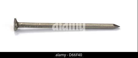 Un chiodo isolato Foto Stock