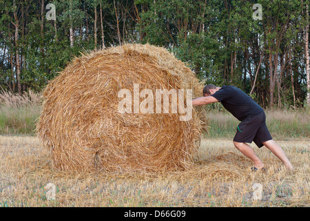 Uomo in un serbatoio superiore e shorts spingendo pagliaio Foto Stock
