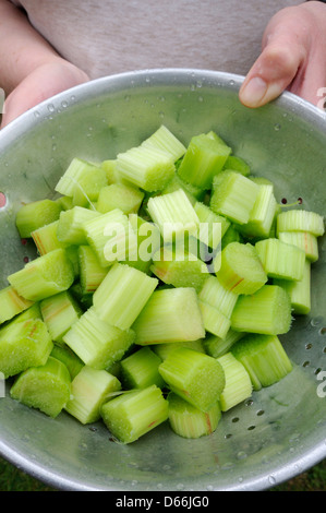 Organici di rabarbaro tagliato e pelati in scolapasta Foto Stock