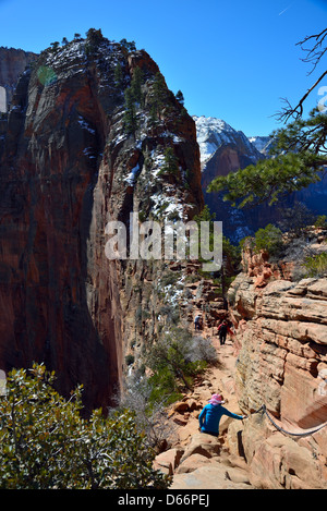 Gli escursionisti manovrare gli angeli pista di atterraggio sulla parte superiore della cresta di arenaria. Parco Nazionale di Zion, Utah, Stati Uniti d'America. Foto Stock