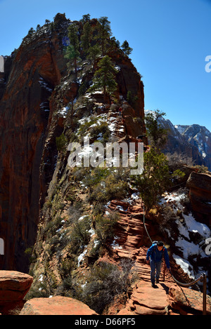 Gli escursionisti manovrare gli angeli pista di atterraggio sulla parte superiore della cresta di arenaria. Parco Nazionale di Zion, Utah, Stati Uniti d'America. Foto Stock