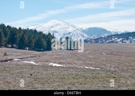 I campi di erba in aree rurali della Serbia Novi Sad dintorni Foto Stock