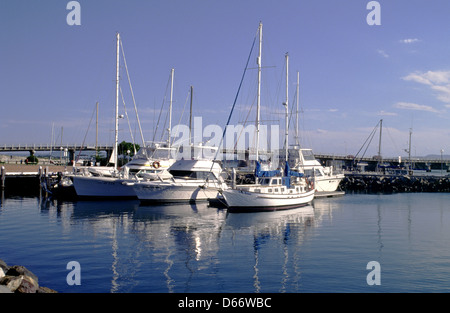 Barca bacino, Forster Harbour, Mid-North Coast, NSW, Australia Foto Stock