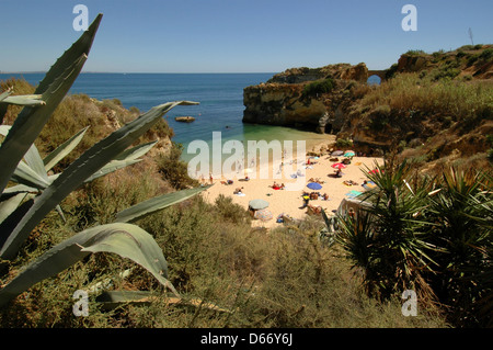 Vista di Praia da Batata Beach adagiato tra le scogliere nella città di Lagos in Algarve la regione più meridionale del Portogallo Foto Stock