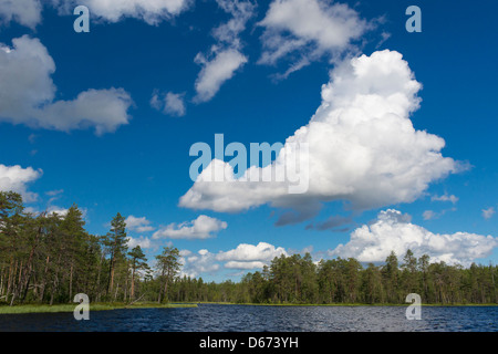 finnish landscape, finland Foto Stock