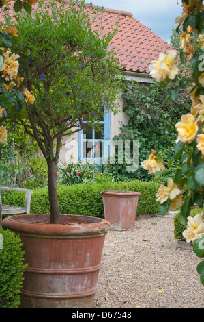 Cottage inglese giardino patio. Foto Stock