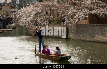 Cambridge, Regno Unito. Il 14 marzo 2013. La temperatura di Cambridge oggi ha colpito 20 gradi Celsius, la gente a prendere per Punting sul fiume Cam e godersi il sole. JAMES LINSELL-CLARK/Alamy Live News Foto Stock