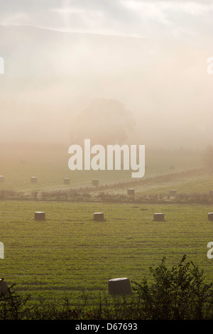 Vista del paesaggio attraverso terreni seminativi con haystacks e una nebbia oscurate tree Foto Stock