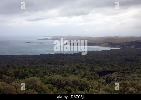 Una vista di Rangitoto isola dell'Isola del nord della Nuova Zelanda Foto Stock