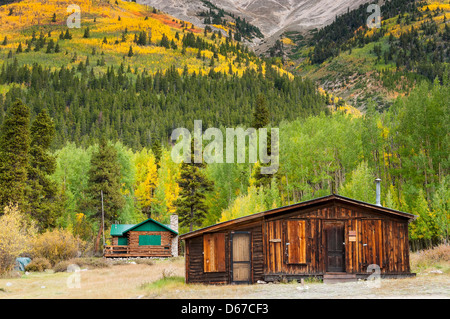 Cabina con fogliame autunnale Winfield città fantasma, Sawatch montagne, Colorado. Foto Stock