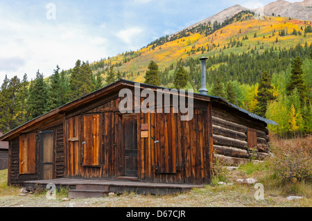 Cabina con fogliame autunnale Winfield città fantasma, Sawatch montagne, Colorado. Foto Stock