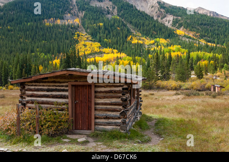 Sfera museo di cabina con fogliame autunnale Winfield città fantasma, Sawatch montagne, Colorado. Foto Stock