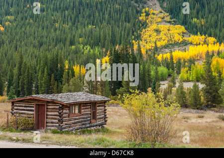 Sfera museo di cabina con fogliame autunnale Winfield città fantasma, Sawatch montagne, Colorado. Foto Stock