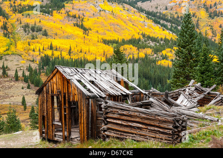 Mio banchiere fiancheggiata con fogliame di autunno, Sawatch Range, Colorado. Foto Stock