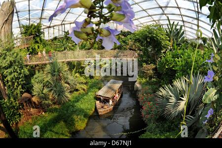 I visitatori possono esplorare il parco tropicale 'Gondwanaland' tramite una barca presso lo zoo di Lipsia, in Germania, il 24 giugno 2012. Il 16 500 mq grande hall, il più grande sito tropicale in Europa, chiamato dopo Gondwana - la più meridionale delle due pre-supercontinents storico, secondo lo zoo, dispone di circa 300 animali, nonché 17 000 piante tropicali con temperature tra 24 e 26 gradi Celsius. Foto Stock